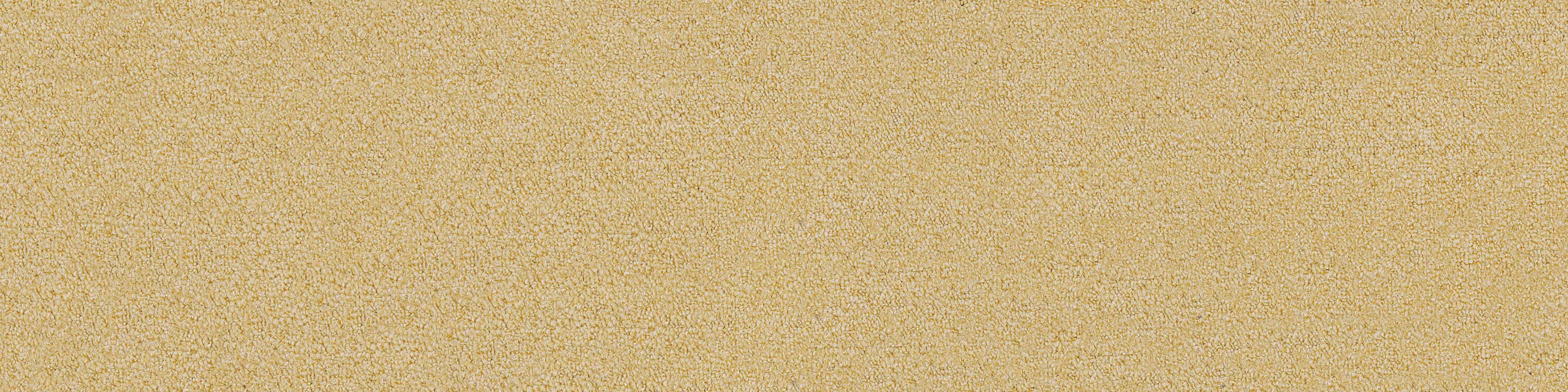 Nylon66 Carpet Tile