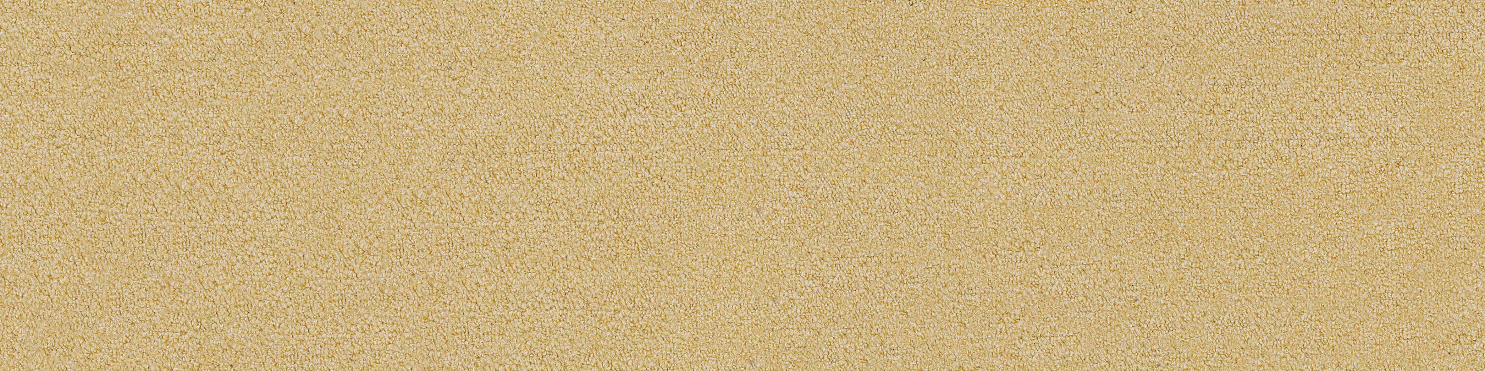 Nylon66 Carpet Tile